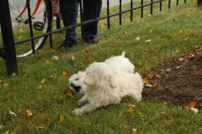 Oct18_04_367.JPG
