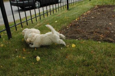Oct18_04_373.JPG