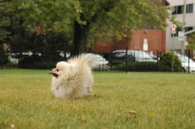 Oct18_04_390.JPG