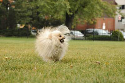 Oct18_04_393.JPG