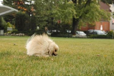 Oct18_04_398.JPG