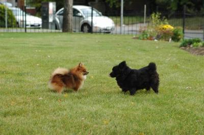 Oct18_04_404.JPG