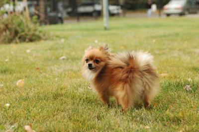 Oct18_04_444.JPG