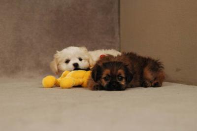 Oct20a_04_052.JPG