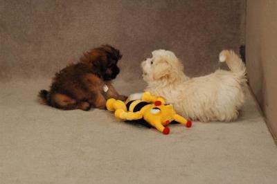 Oct20a_04_057.JPG