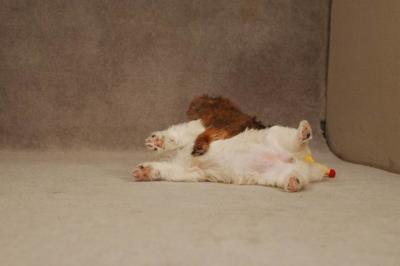 Oct20a_04_063.JPG