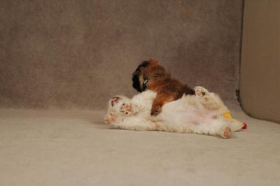 Oct20a_04_065.JPG