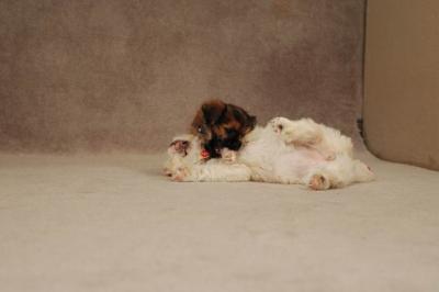 Oct20a_04_074.JPG
