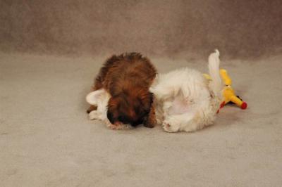 Oct20a_04_089.JPG