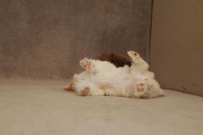 Oct20a_04_092.JPG
