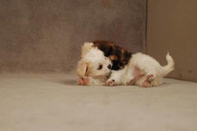 Oct20a_04_098.JPG