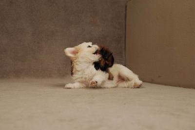 Oct20a_04_101.JPG