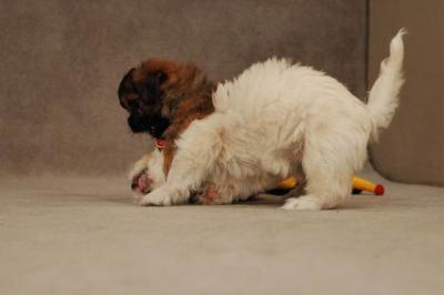 Oct20a_04_110.JPG