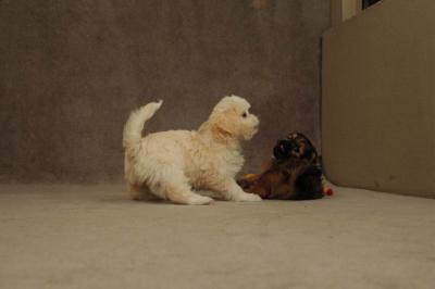 Oct20a_04_112.JPG