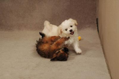 Oct20a_04_122.JPG