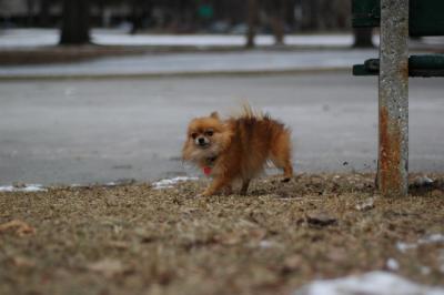 Feb20_05_033.JPG