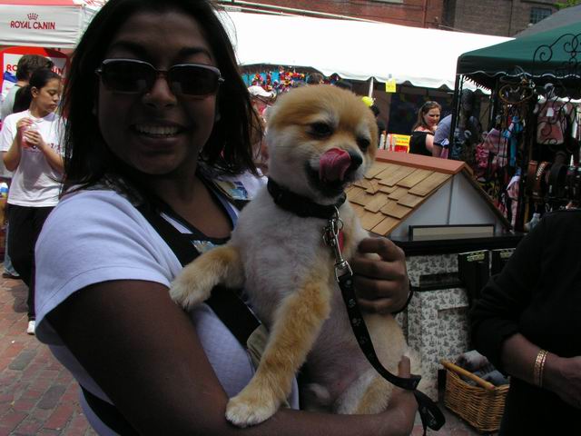 June6_04_289.JPG