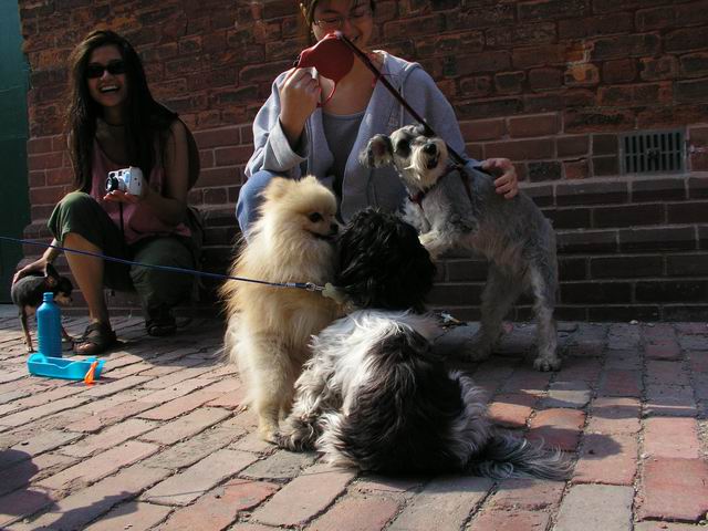 June6_04_407.JPG
