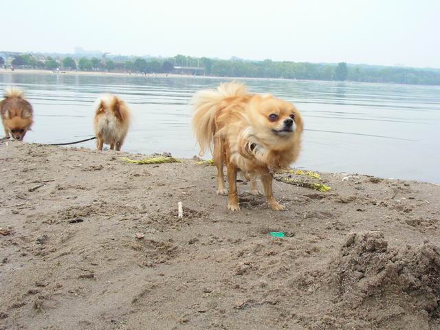 June7_04_065.JPG