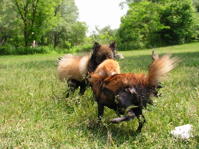 June8_04_116.JPG