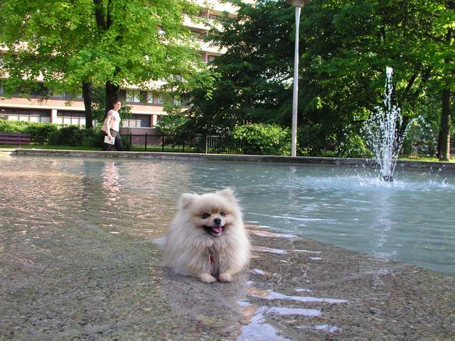 June8a_04_283.JPG