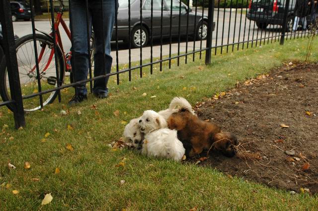 Oct18_04_361.JPG
