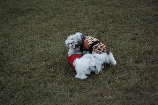 Oct18c_04_112.JPG