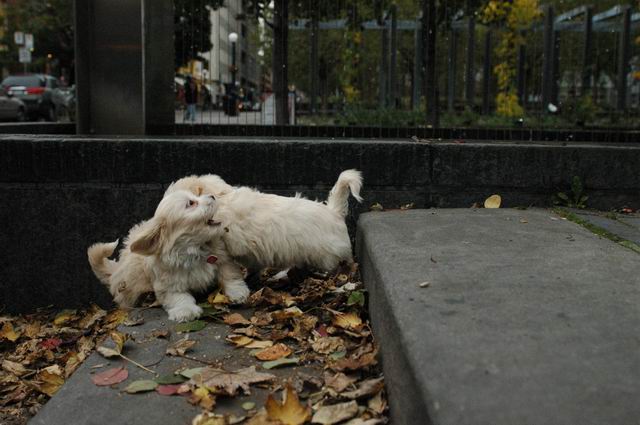 Oct19_04_140.JPG