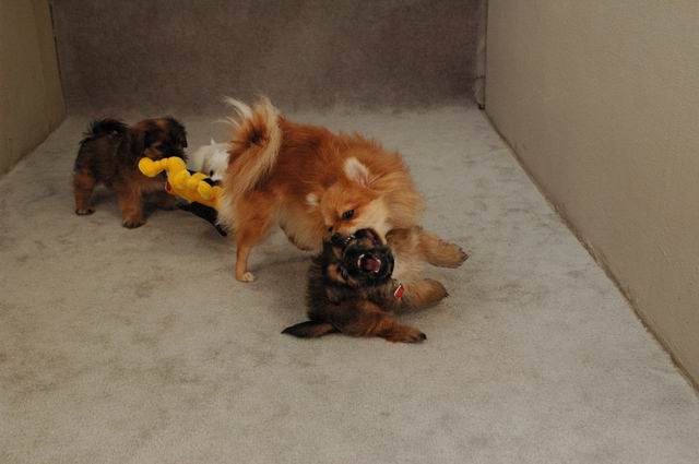 Oct20_04_409.JPG