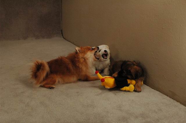 Oct20a_04_306.JPG