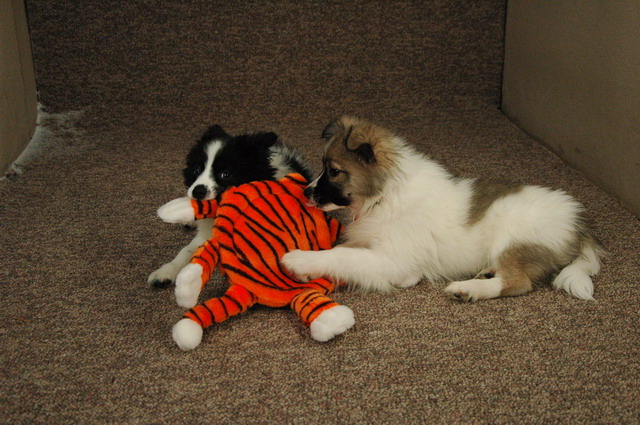 Jan25_05_071.JPG