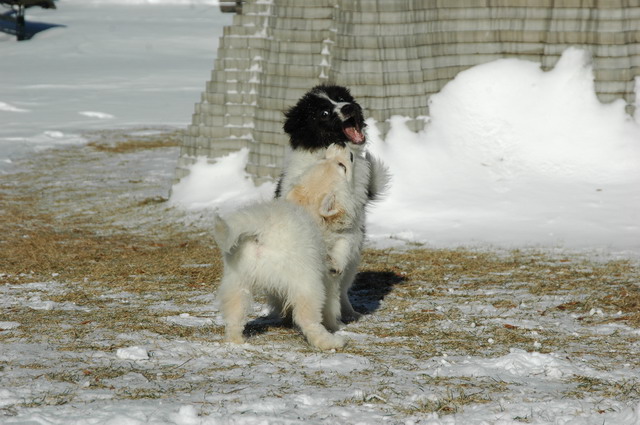 Jan23a_05_077.JPG