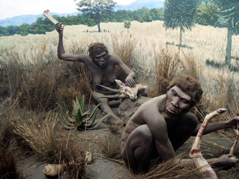 Homo Erectus models at the Kenyan National Museum