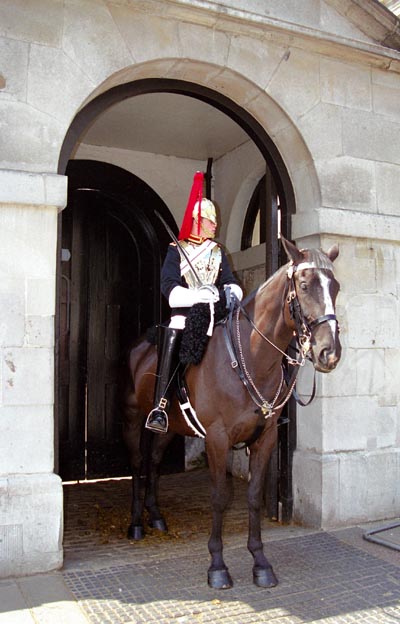 Horse Guard in blue uniform