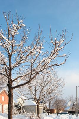 Our street