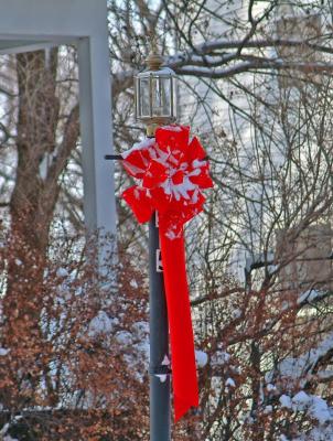 Lamp Post with Ribbon