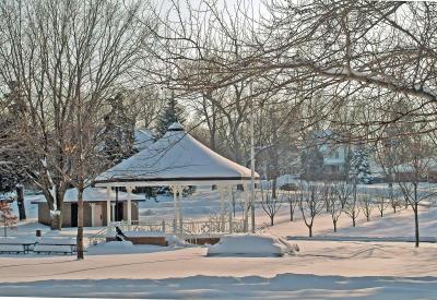 Winter in Foster Park