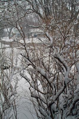 Off our Porch - Ides of March Snow - 2004