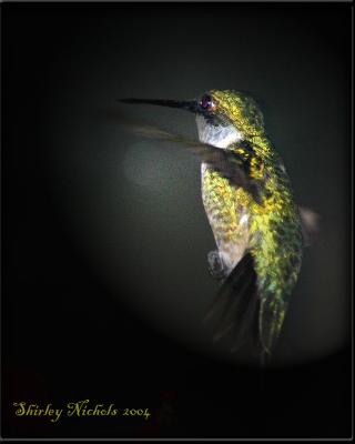 Hummer at night-2