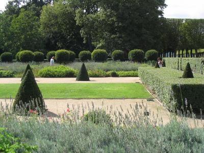 Sceaux: pelargonium garden
