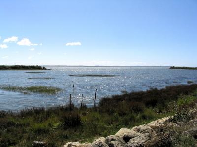 Domaine de Certes: Bassin d'Arcachon