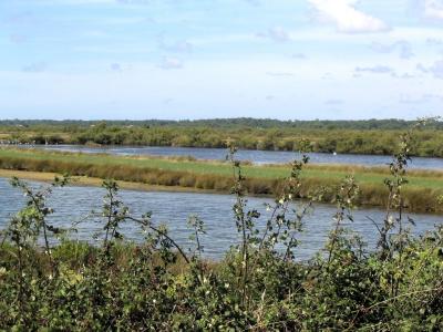 Domaine de Certes: fish ponds