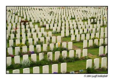 u46/britishbeef/medium/29708640.TyneCotCemeterygraves2.jpg