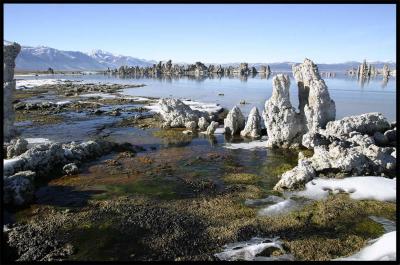 Mineral Water