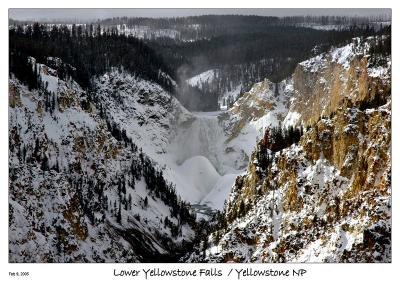 Day 4 - Lower Yellowstone Falls