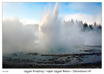 Geyser Erupting
