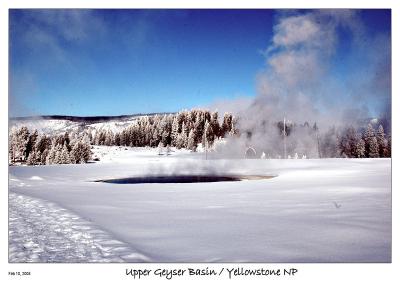 Upper Geyser Basin