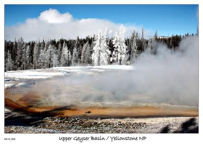Geyser