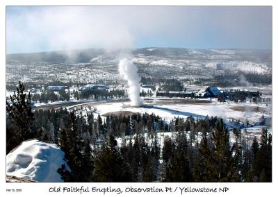 Old Faithful Erupting from the Obserservation Pt.