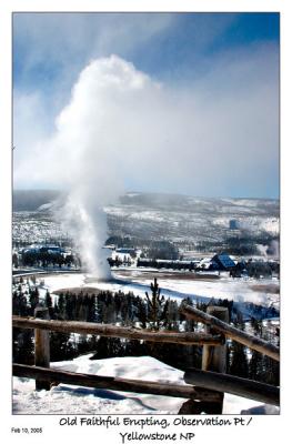 Old Faithful Erupting from the Obserservation Pt.